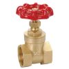 Brass Gate Valve