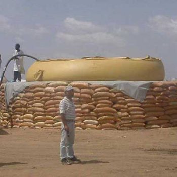 Onion Tank with Circular Plinth