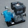Swallow-S45 Swallow S45 Fuel Transfer Pump