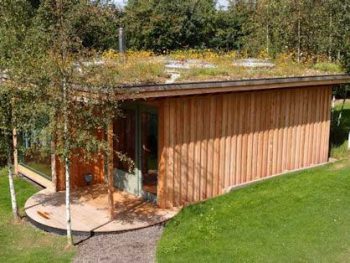 Green Roof Garden Office