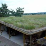 SmallGrassRoof_1