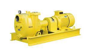 Electric Driven Pumps